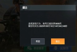 和平精英过检测_和平精英检测到辅助