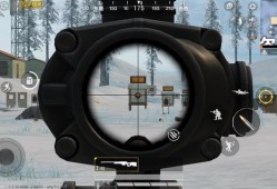 揭秘和平精英飞天辅助：真相、风险与应对之策_和平精英飞天辅助