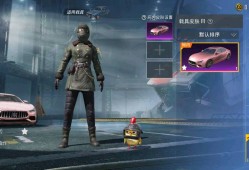 和平精英辅助网站永久免费_和平精英透辅助