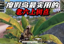 揭秘和平精英昭君辅助：游戏优势、使用风险与防范策略揭秘_和平精英昭君辅助