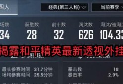 《和平精英游戏辅助现象的深度解析：揭示作弊背后的真实原因与应对之道》_玩和平精英居然还有人开挂