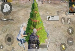 直播和平精英上树操作是否为辅助行为的深度解析_直播和平精英上树是开挂吗