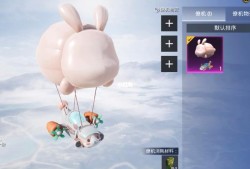 开黑神器和平精英_和平精英开辅助的老黑