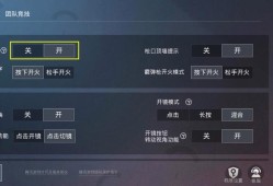 和平精英透视自瞄挂_辅助展示和平精英