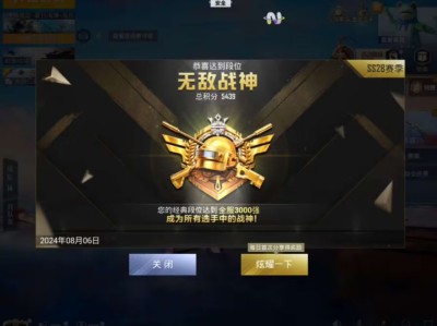 和平精英鸡冠直装辅助