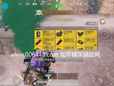 和平精英辅助【强爽直装】支持巡查预警 独家算法(不三方/不禁网/不10年)