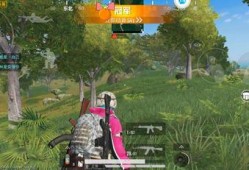 《和平精英高段位遭遇辅助泛滥，游戏内外治理成必要》_和平精英高段位辅助多