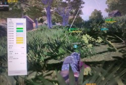 和平精英外免费挂_和平精英辅助鸡腿免费