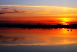 和平精英除草辅助_和平精英仙界辅助除草工具