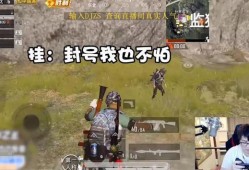 和平精英主播最新内部挂_和平精英主播遇到辅助1v四