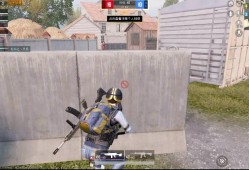 和平精英透视3元挂_和平精英被辅助杀了