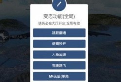 和平精英怎么用辅助_和平精英辅助怎么用更好