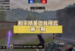 和平精英团竞bug_和平精英经典团竞超牛辅助