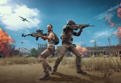 和平精英蓝龙辅助8.0下载安装_和平精英龙骑士辅助