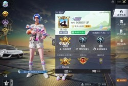 和平精英透视辅助器2023_和平精英辅助天线加透视