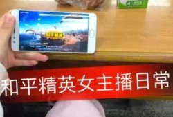 和平精英的挂_和平精英可以用的辅助的名字