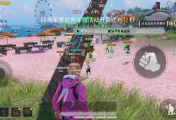 和平精英辅助【雷神直装V1.1】人物透视 锁头自瞄 全图加速 范围拾取 子弹追踪