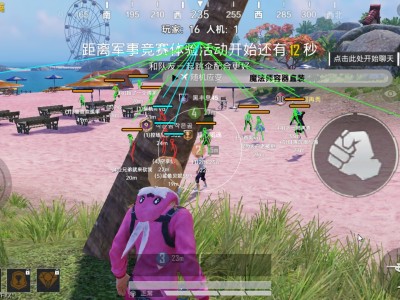 和平精英辅助【雷神直装V1.1】人物透视 锁头自瞄 全图加速 范围拾取 子弹追踪