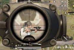 和平精英微信辅助名字揭秘：风险警示与合规游戏的重要性_和平精英微信辅助名字