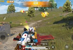 我是大佬和平精英抖音_和平精英辅助大佬是谁