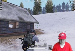 和平精英国际服加速器_和平精英加速器是辅助吗