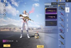 《揭秘和平精英SS6赛季辅助真相：游戏背后的法律红线》_和平精英ss6挂