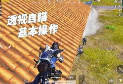 和平精英辅助透视自瞄辅助_和平精英鸡神透视自瞄辅助