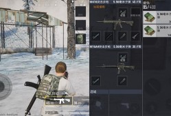 《和平精英国际服辅助购买指南》_和平精英国际服辅助在哪里买