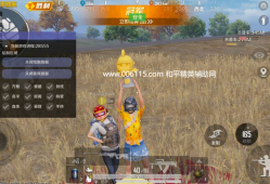 和平精英辅助【德芙直装】透视自瞄辅助