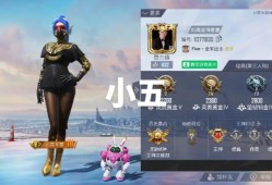 和平精英最强的人_和平精英最强辅助哥