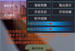 和平精英辅助案例深度解析：游戏公平性的破坏与应对策略_和平精英辅助案例