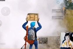 和平精英使用官方辅助的行为及其封号风险解析_和平精英官方辅助会不会封