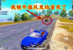 揭秘和平精英辅助使用者：谁在使用这些非法工具？_和平精英都有谁用辅助