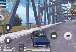 和平精英没人用的单字id有哪些2024_和平精英辅助队数字id