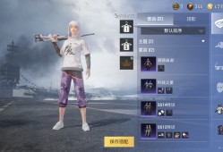 辅助与战略融合，打造和平精英战斗利器_辅助搭配和平精英怎么弄