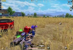 和平精英路飞辅助_和平精英路飞辅助视频