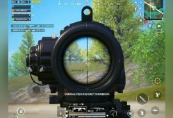 揭秘和平精英主播神秘小辅助：助力游戏实战，提升竞技优势_和平精英主播开的小辅助