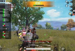 和平精英自瞄挂下载免费_和平精英辅助自瞄穿墙