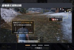 和平精英抽车黑辅助软件——探索游戏中的无限可能_和平精英抽车黑辅助软件