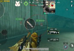 和平精英【柚子直装】辅助 预判追踪 预判追车