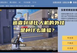 怎么才能在和平精英里当巡查员_和平精英中辅助巡查员