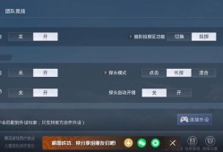 和平精英里怎么开辅助?_和平精英里怎么才能开辅助