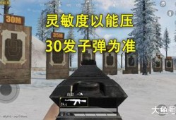 和平精英黑辅助透视自瞄_和平精英自瞄制作