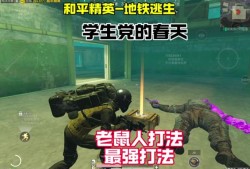 和平精英草地伪装服_和平精英伪装辅助搞笑