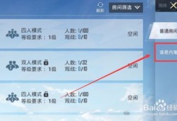 和平精英怎么能开自定义房间_和平精英辅助能进自定义房间吗