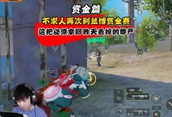 和平精英中辅助之星套装的魅力与独特之处_和平精英中辅助之星套装