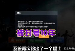 《和平精英辅助封禁10年解除攻略：逐步操作指引》_和平精英辅助封10年怎么解除