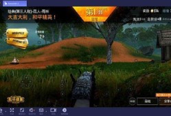 和平精英辅助刃辅助官网_和平精英开辅助