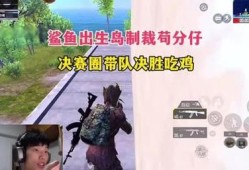 鲨鱼在和平精英遭遇辅助风波：游戏公平性引发关注与深思_鲨鱼玩和平精英匹配到了辅助