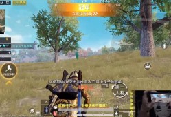 如何在和平精英中开辅助_和平精英大哥开辅助队友吓懵了